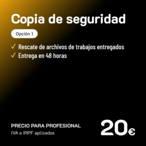 Copia de seguridad Opción 1 · Profesional