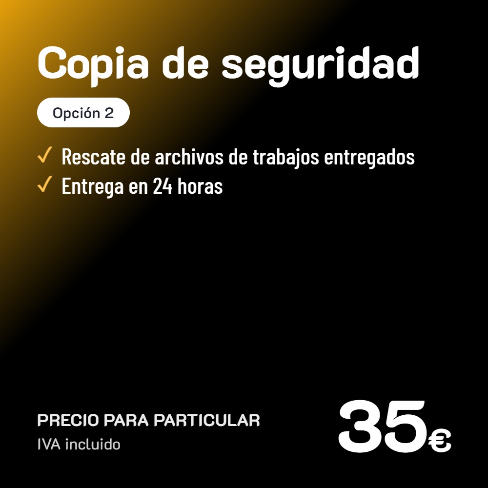 Copia de seguridad Opción 2 · Particular