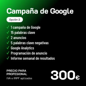 Campaña publicitaria de Google Opción 2 · Profesional