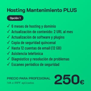 Hosting Mantenimiento PLUS Opción 1 · Profesional
