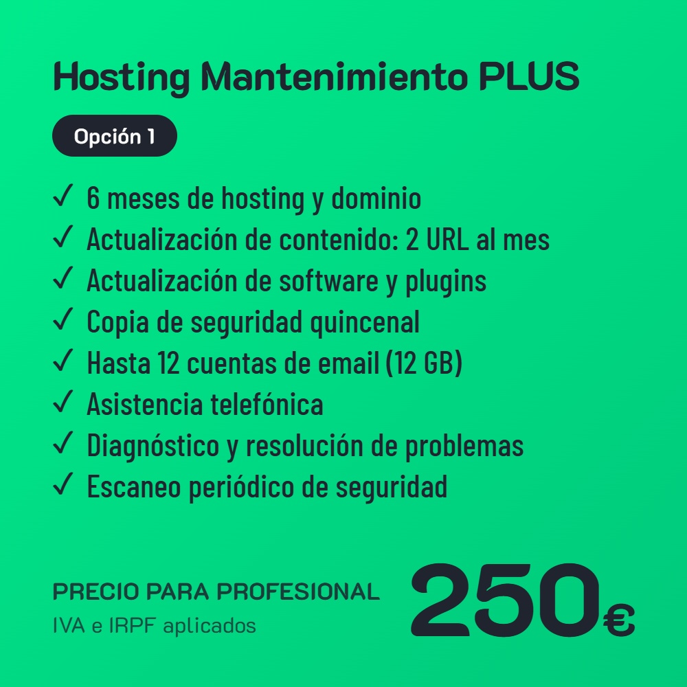 Hosting Mantenimiento PLUS Opción 1 · Profesional