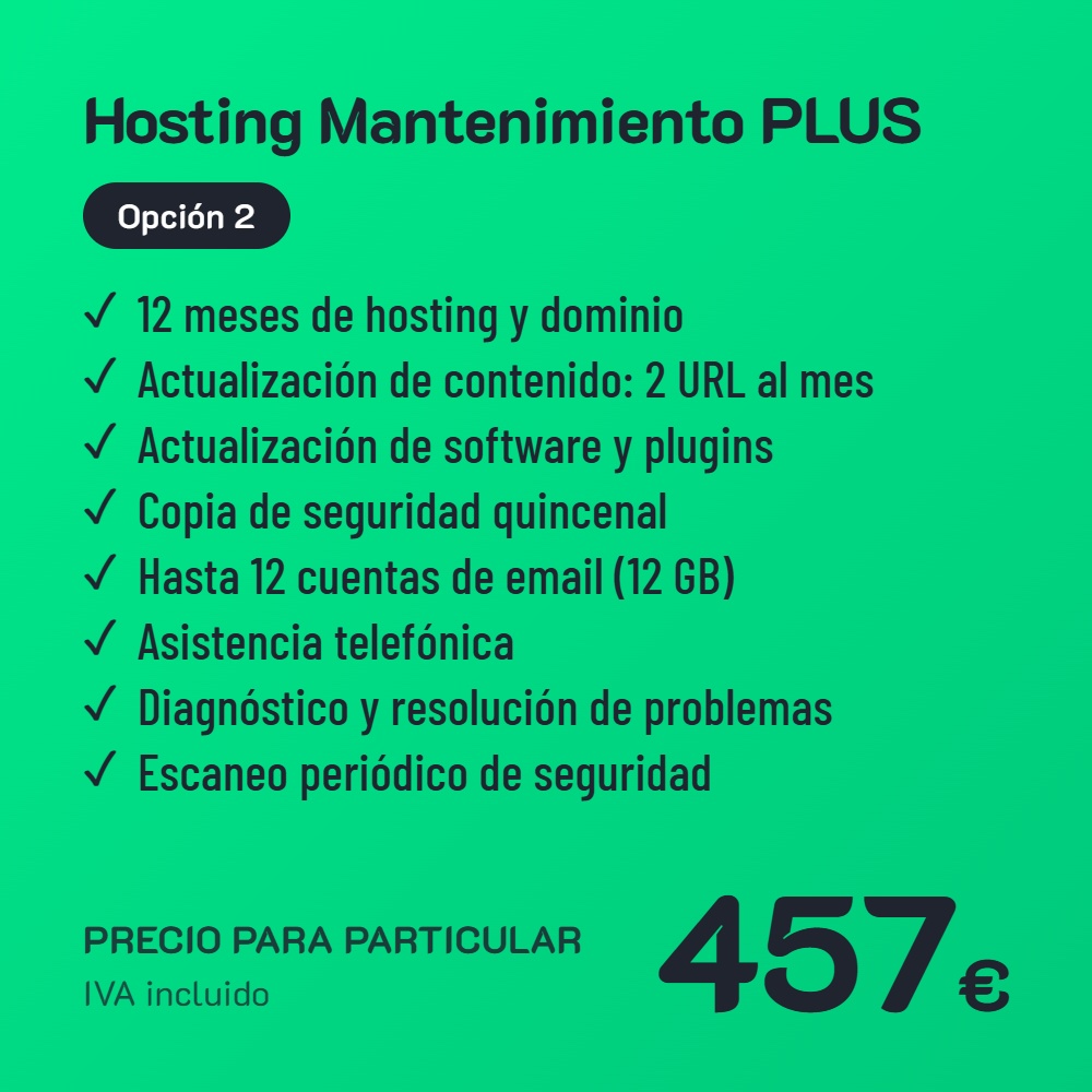 Hosting Mantenimiento PLUS Opción 2 · Particular