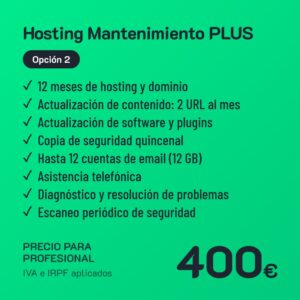 Hosting Mantenimiento PLUS Opción 2 · Profesional