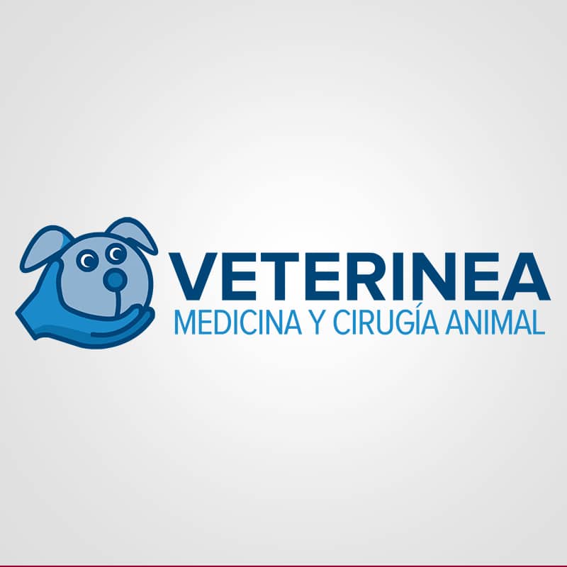 Diseño de logotipo para la marca Veterinea. Medicina y Cirugía Animal