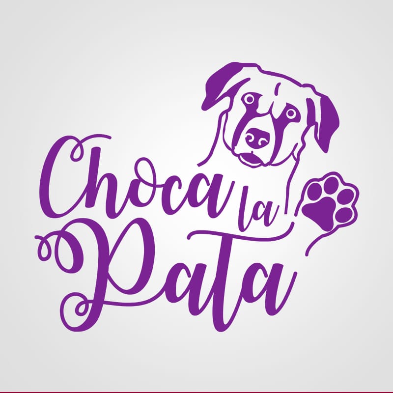 Diseño de logotipo para la marca Choca La Pata. Diseño de logotipos Logocrea®