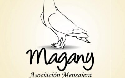 Asociación Mensajería Valenciana Magany