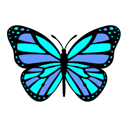 Mariposa 4