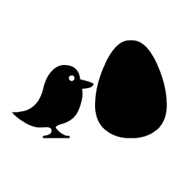 Pollito 1