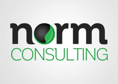 Norm Consulting