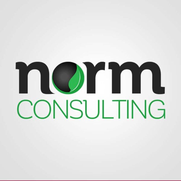 Norm Consulting