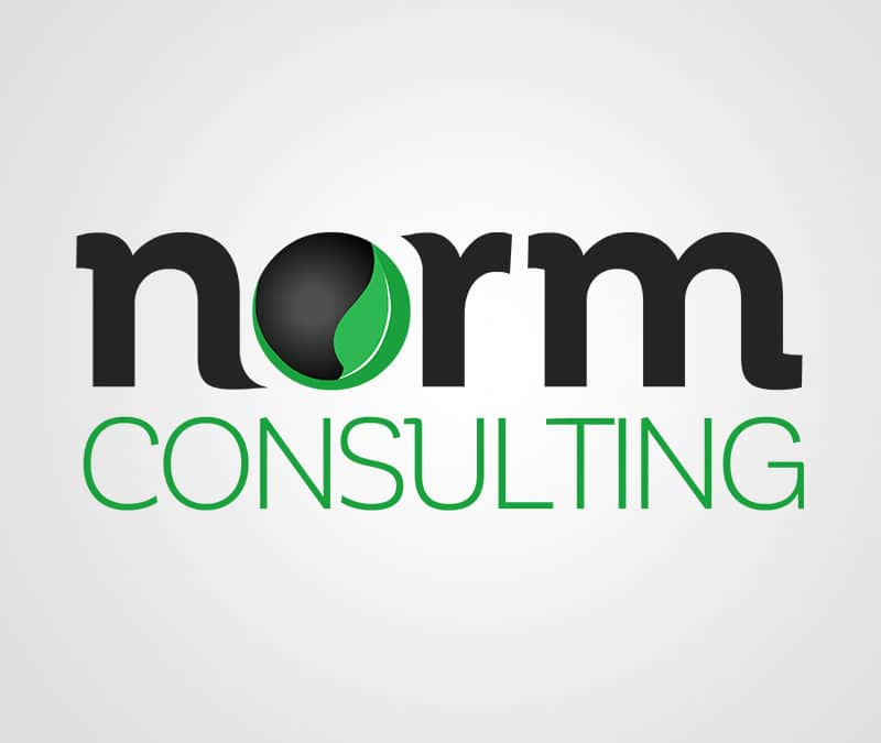 Norm Consulting