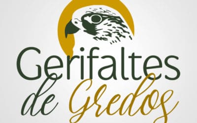 Gerifaltes de Gredos