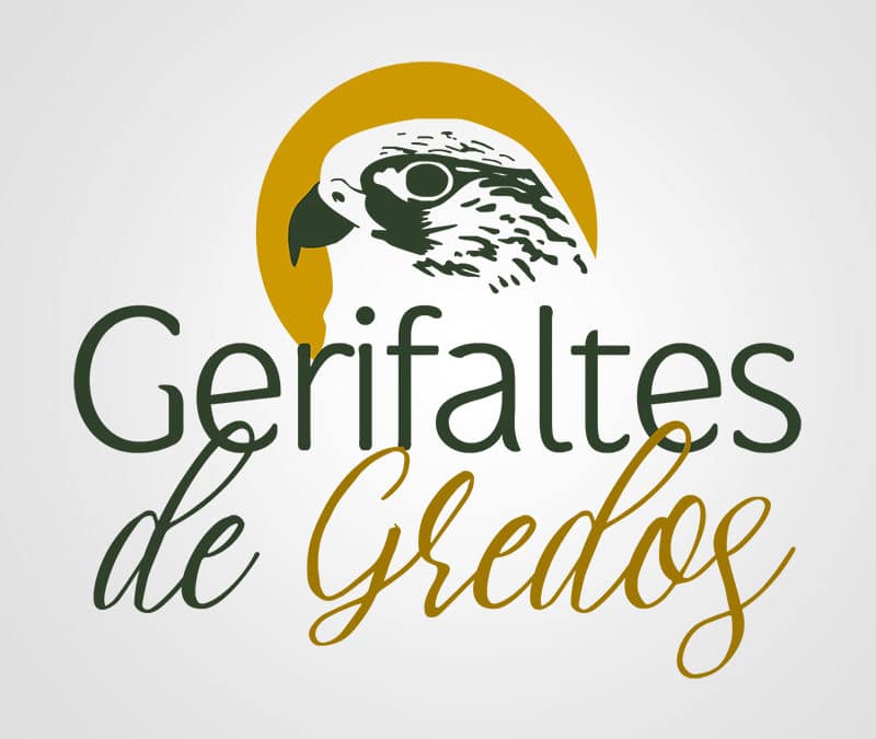 Gerifaltes de Gredos