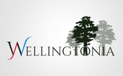 Wellingtonia