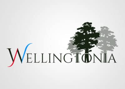 Diseño de logotipo para Wellingtonia. Diseño de logotipos Logocrea®