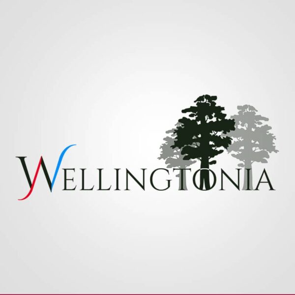 Diseño de logotipo para Wellingtonia. Diseño de logotipos Logocrea®