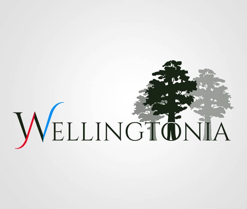 Wellingtonia