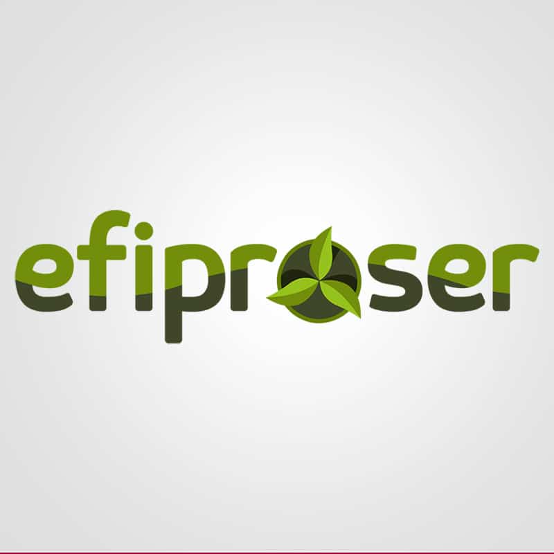 Diseño de logotipo para Efiproser