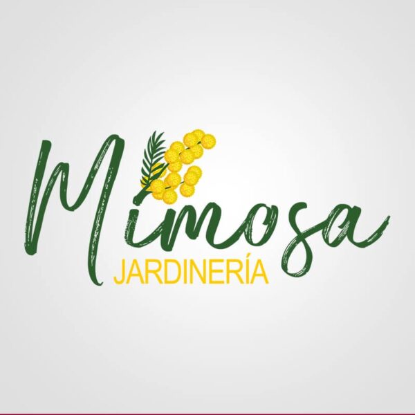 Mimosa Jardinería