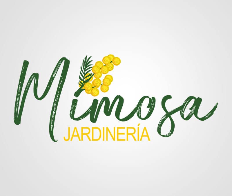 Mimosa Jardinería