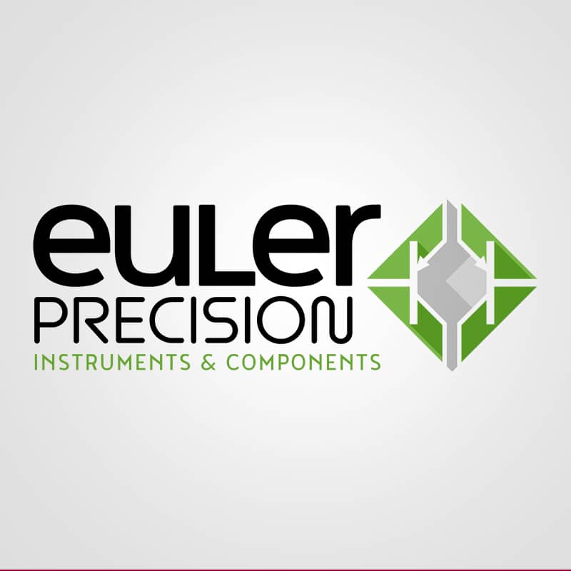 Euler Precisión