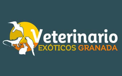 Veterinario Exóticos Granada