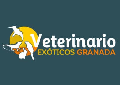veterinarios exóticos granada