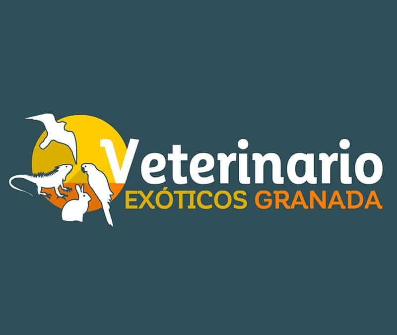 Veterinario Exóticos Granada