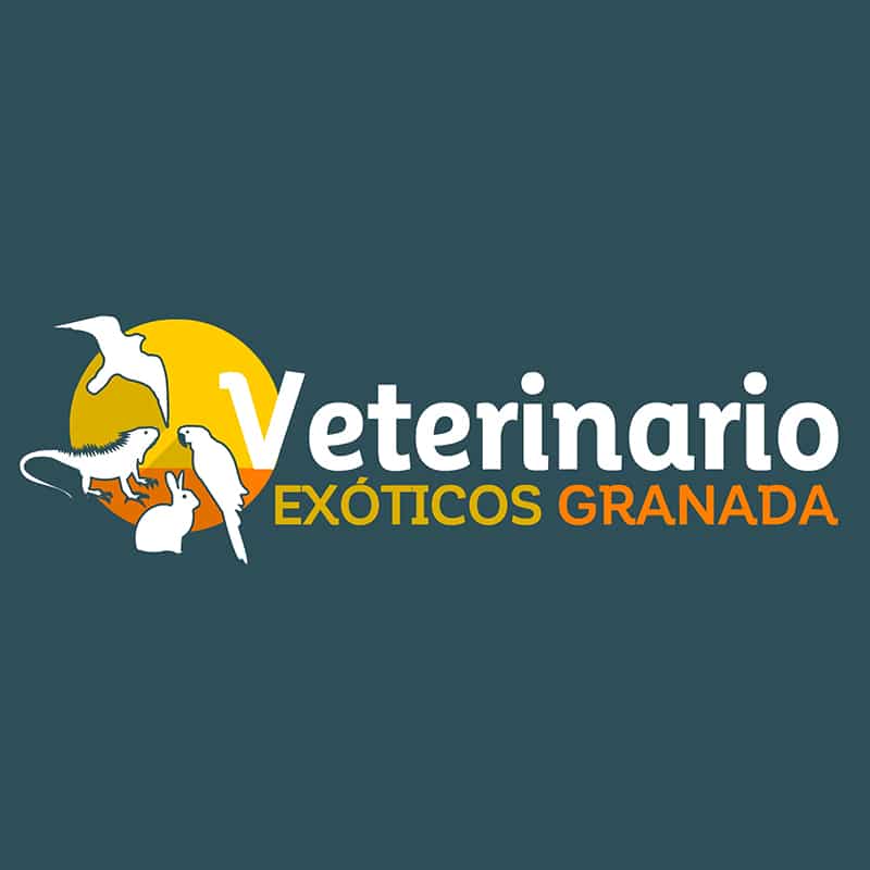 veterinarios exóticos granada