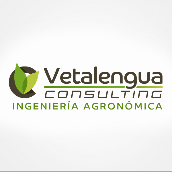 Vetalengua Consulting